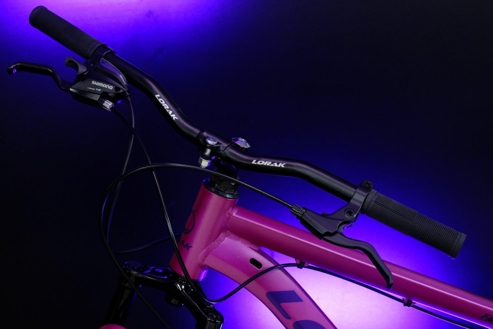 LORAK Fast Brown 26 Розовый