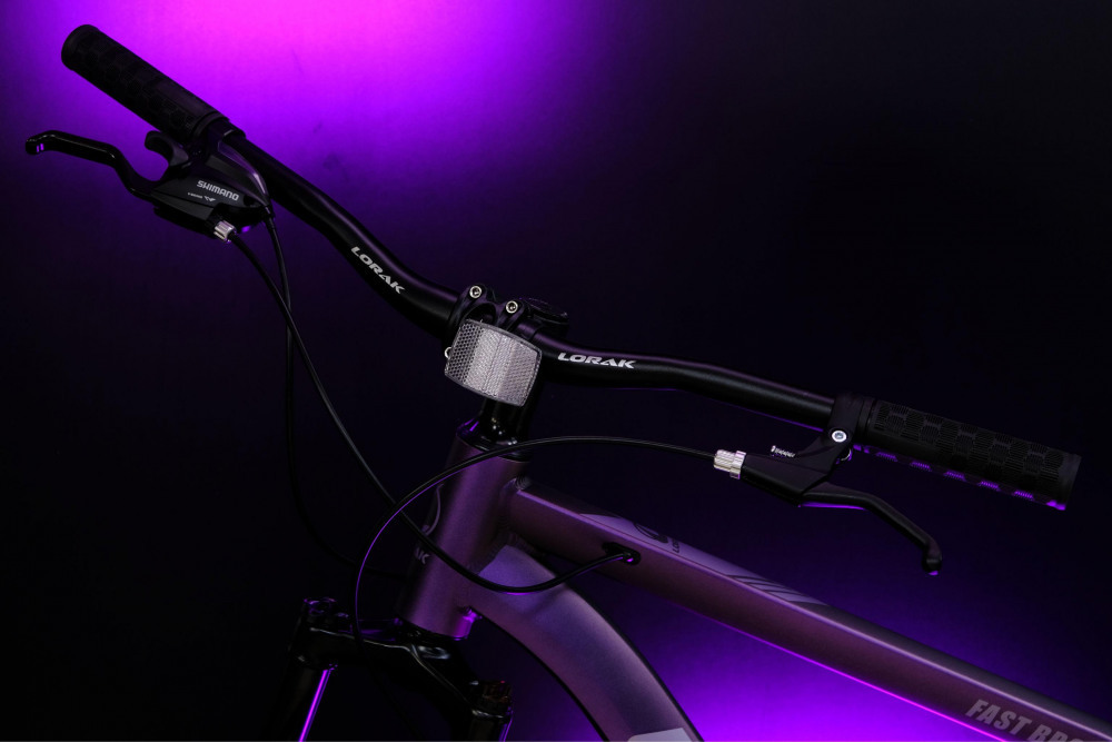 LORAK Fast Brown 27,5 Матовый Фиолетовый рама 17 (на рост 155-173)